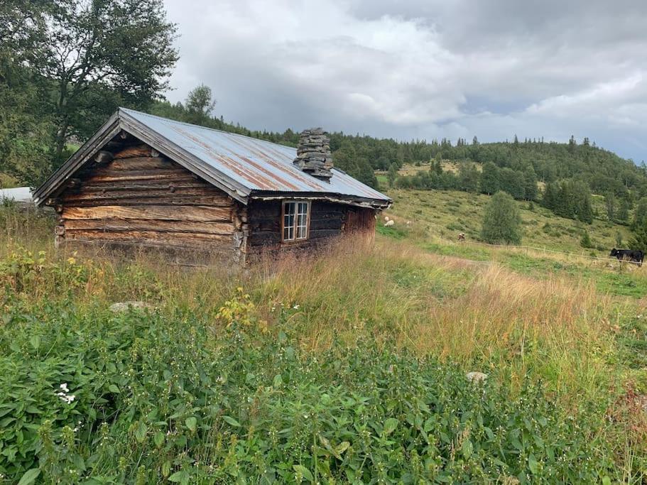 Na Er Vinteren Kommet Til Hallingdal Al Extérieur photo