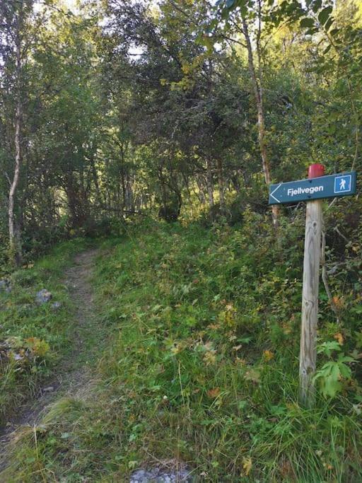 Na Er Vinteren Kommet Til Hallingdal Al Extérieur photo