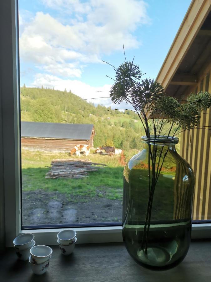 Na Er Vinteren Kommet Til Hallingdal Al Extérieur photo