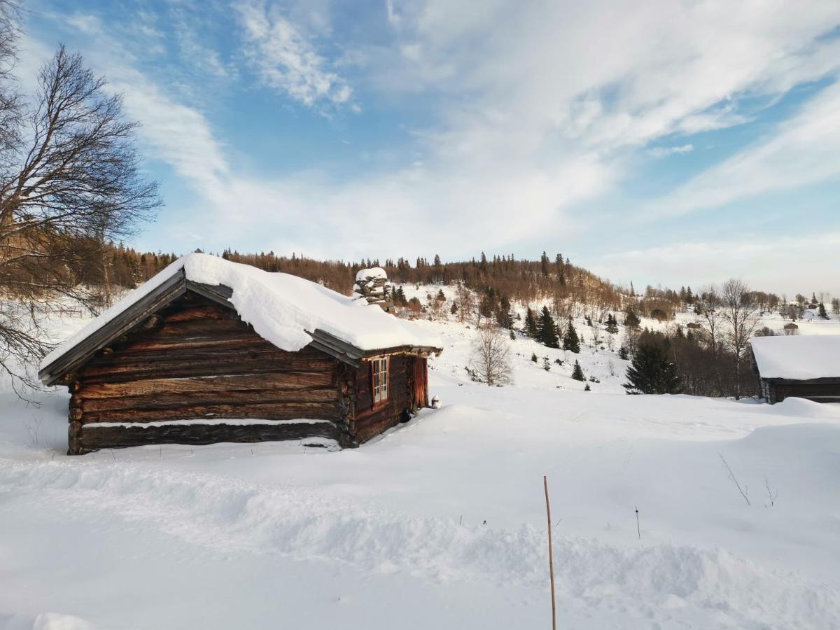 Na Er Vinteren Kommet Til Hallingdal Al Extérieur photo