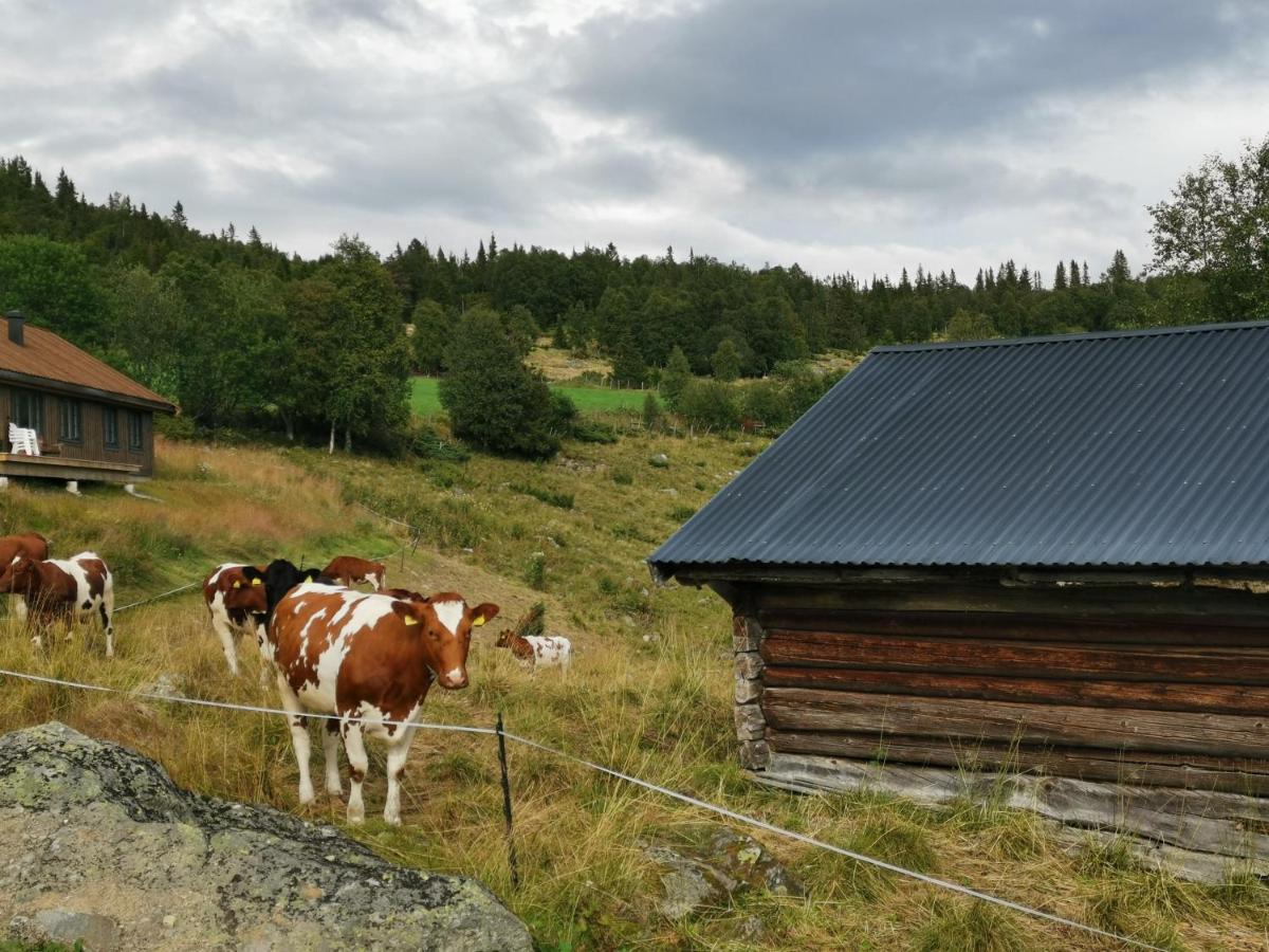 Na Er Vinteren Kommet Til Hallingdal Al Extérieur photo